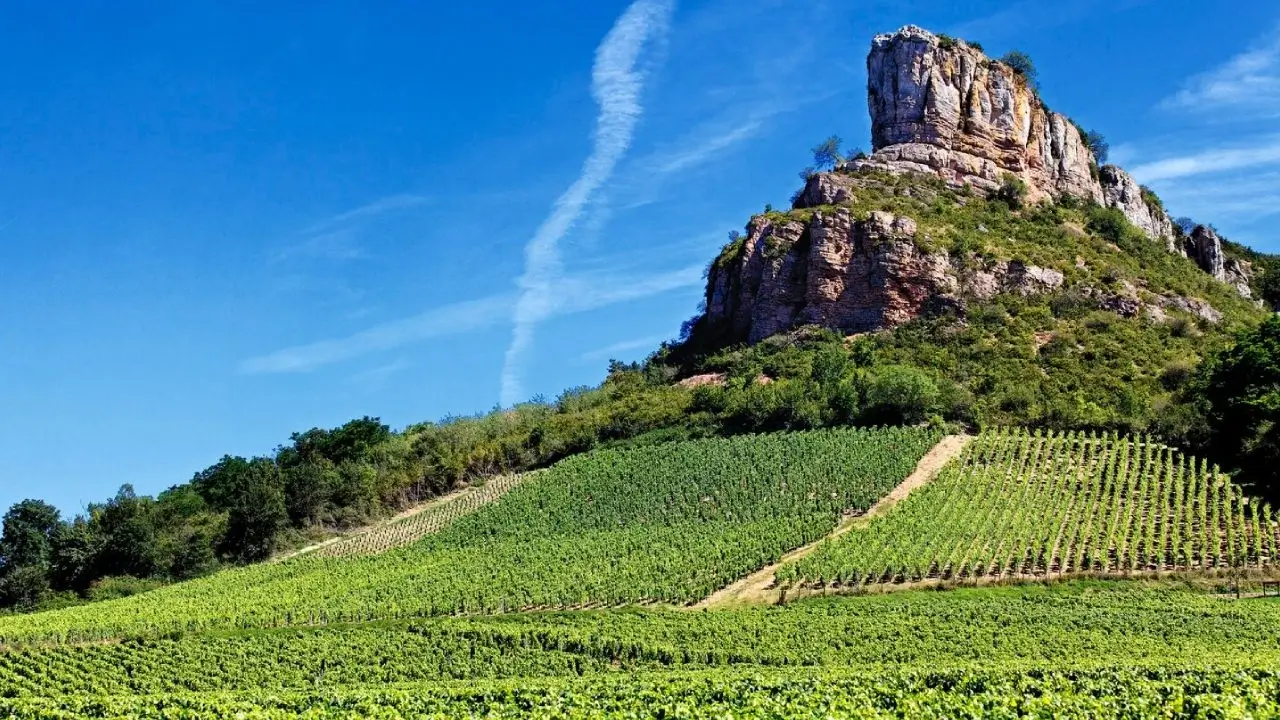 Régions viticoles France